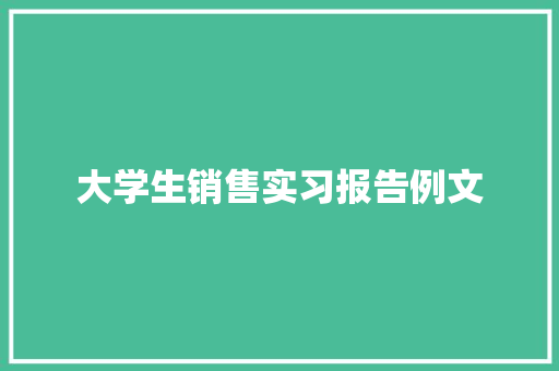 大学生销售实习报告例文