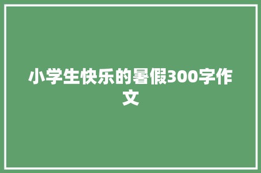 小学生快乐的暑假300字作文