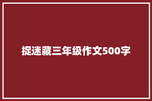 捉迷藏三年级作文500字