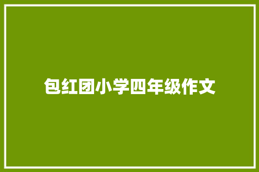 包红团小学四年级作文