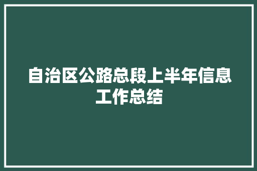 自治区公路总段上半年信息工作总结