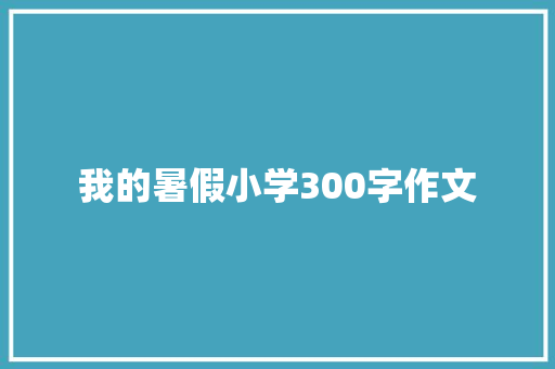 我的暑假小学300字作文