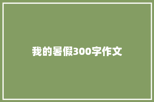 我的暑假300字作文