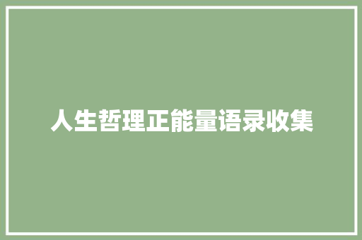 人生哲理正能量语录收集