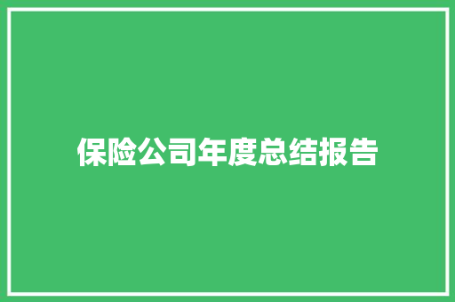 保险公司年度总结报告