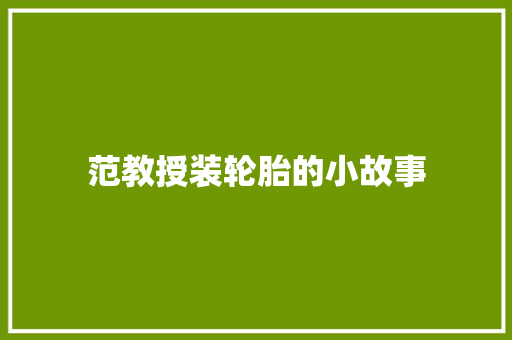 范教授装轮胎的小故事