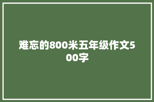 难忘的800米五年级作文500字