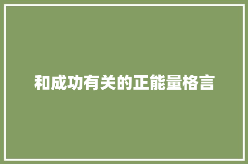 和成功有关的正能量格言