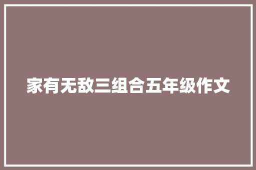 家有无敌三组合五年级作文