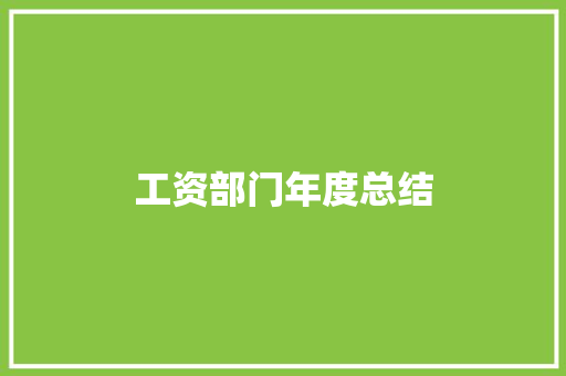 工资部门年度总结