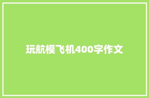 玩航模飞机400字作文