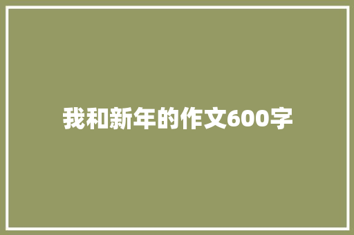 我和新年的作文600字