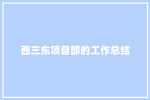 西三东项目部的工作总结