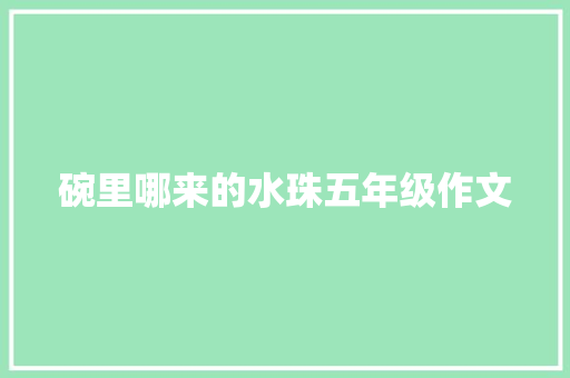 碗里哪来的水珠五年级作文