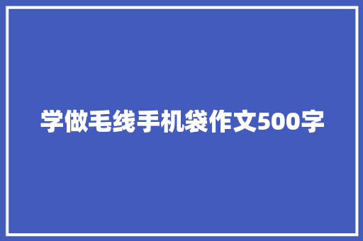 学做毛线手机袋作文500字