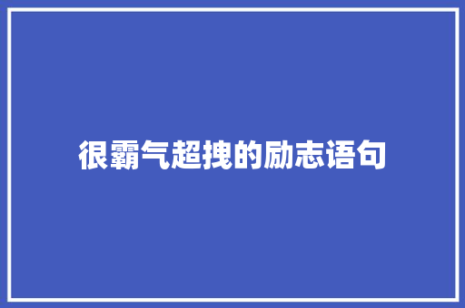 很霸气超拽的励志语句