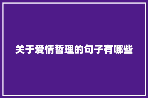 关于爱情哲理的句子有哪些