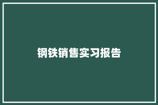 钢铁销售实习报告