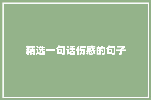 精选一句话伤感的句子