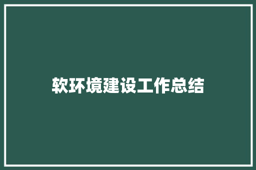 软环境建设工作总结