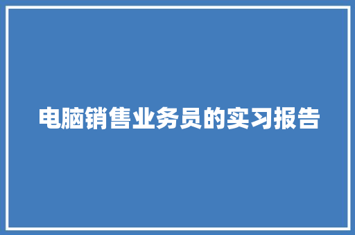 电脑销售业务员的实习报告