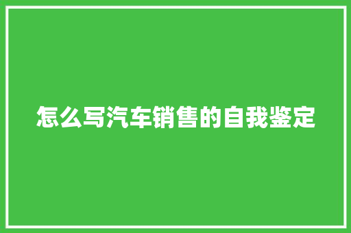 怎么写汽车销售的自我鉴定