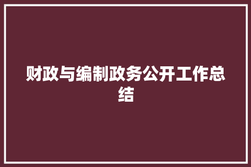 财政与编制政务公开工作总结 综述范文