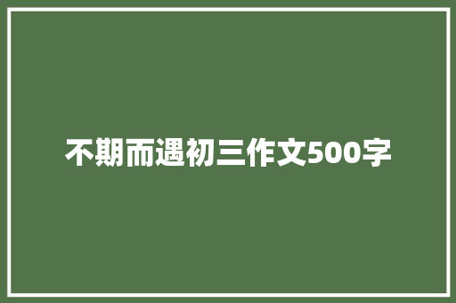 不期而遇初三作文500字