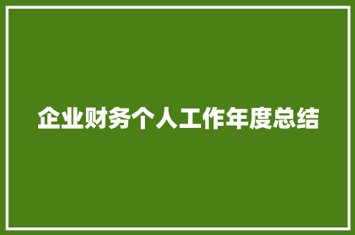 企业财务个人工作年度总结