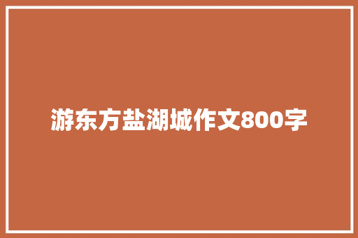 游东方盐湖城作文800字