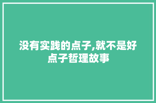 没有实践的点子,就不是好点子哲理故事