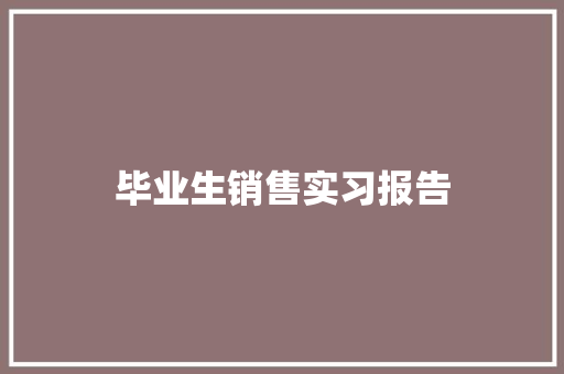 毕业生销售实习报告