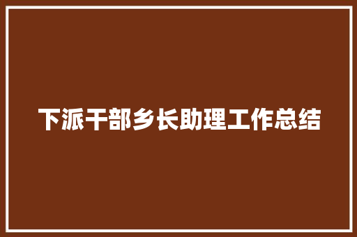 下派干部乡长助理工作总结