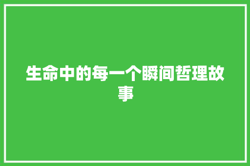 生命中的每一个瞬间哲理故事 演讲稿范文