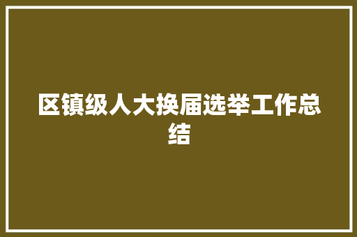 区镇级人大换届选举工作总结