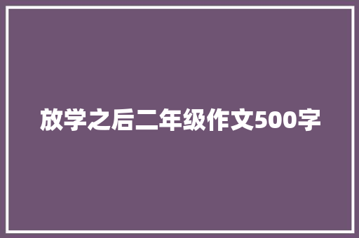 放学之后二年级作文500字