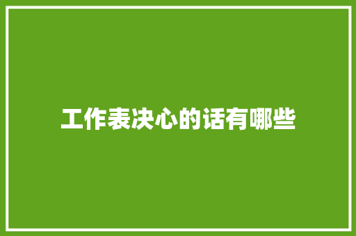 工作表决心的话有哪些