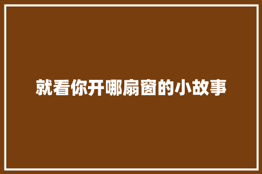 就看你开哪扇窗的小故事