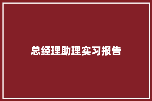 总经理助理实习报告