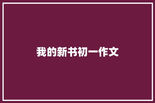 我的新书初一作文