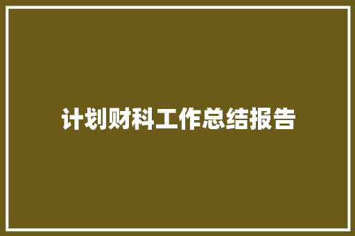 计划财科工作总结报告 报告范文