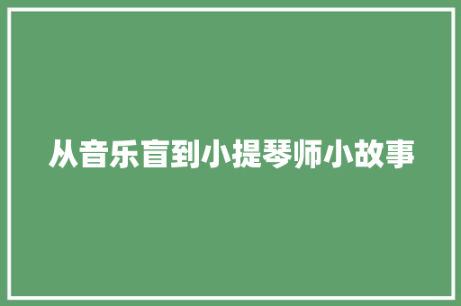 从音乐盲到小提琴师小故事