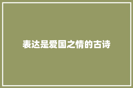 表达是爱国之情的古诗