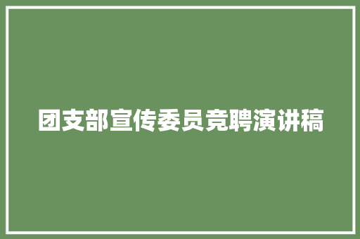 团支部宣传委员竞聘演讲稿 综述范文