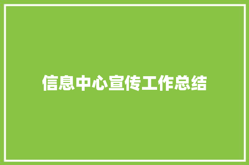 信息中心宣传工作总结