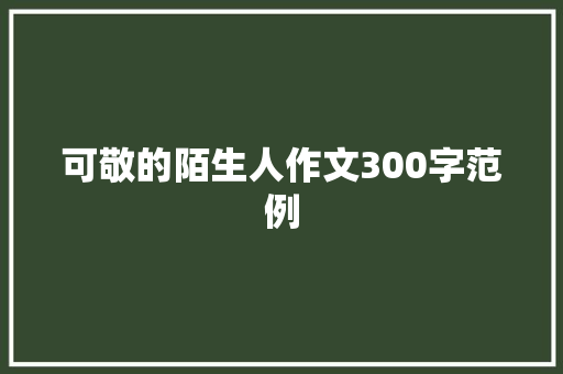 可敬的陌生人作文300字范例