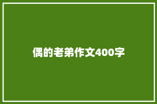 偶的老弟作文400字 会议纪要范文