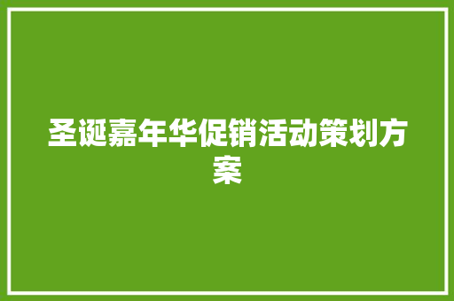 圣诞嘉年华促销活动策划方案