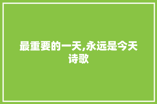 最重要的一天,永远是今天诗歌 书信范文