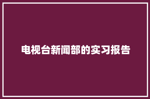 电视台新闻部的实习报告